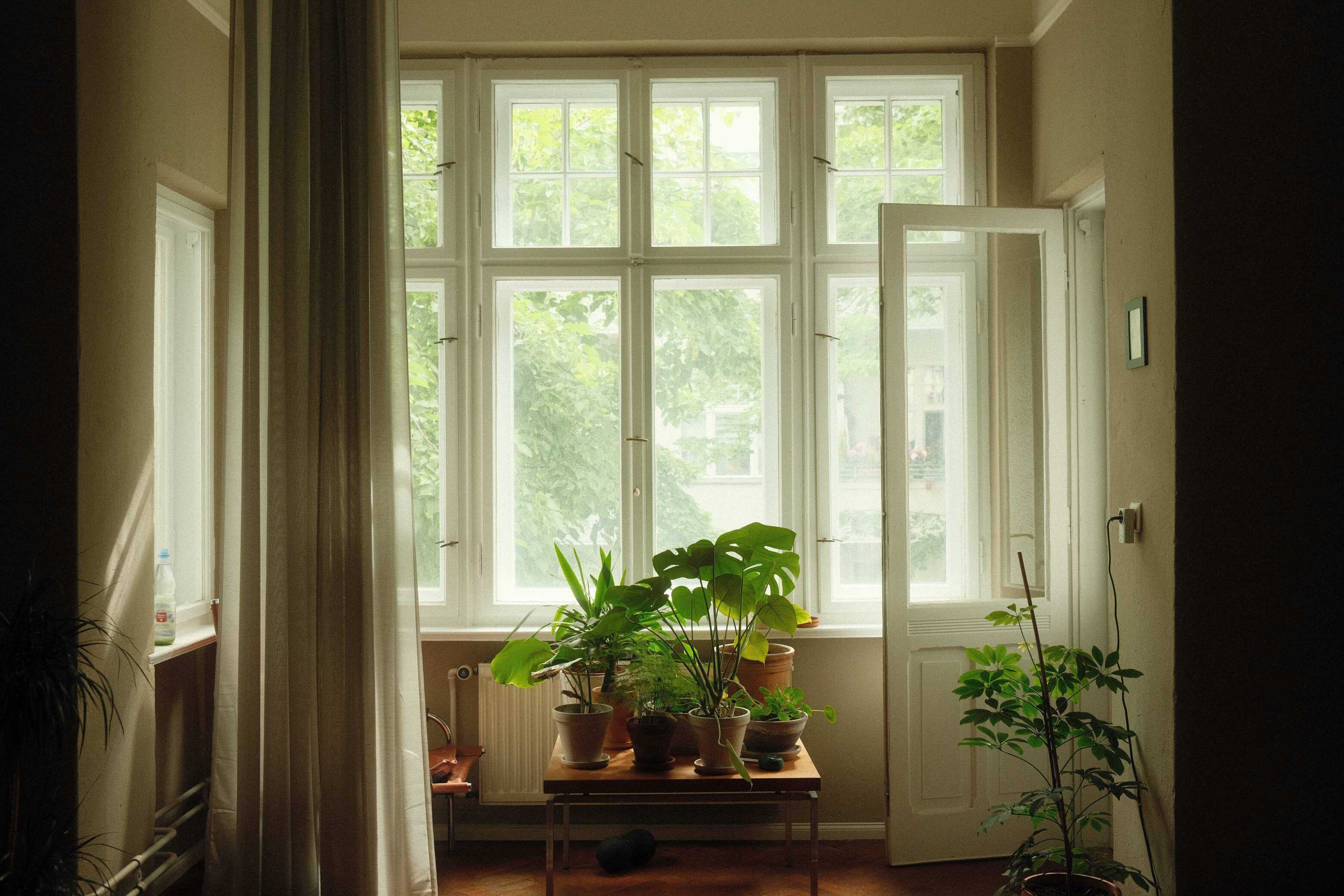 DSCF6806.JPG