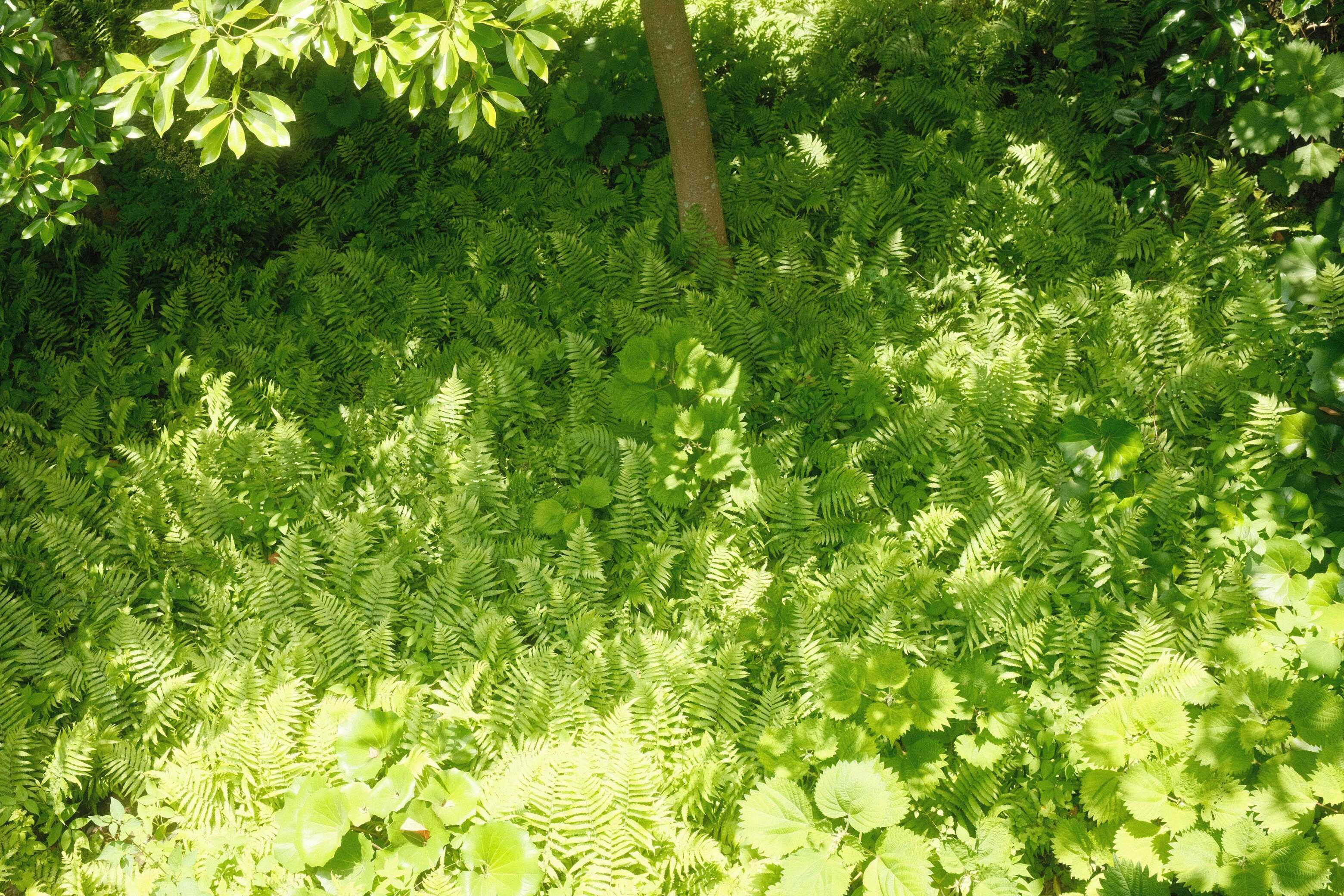 DSCF6957.JPG