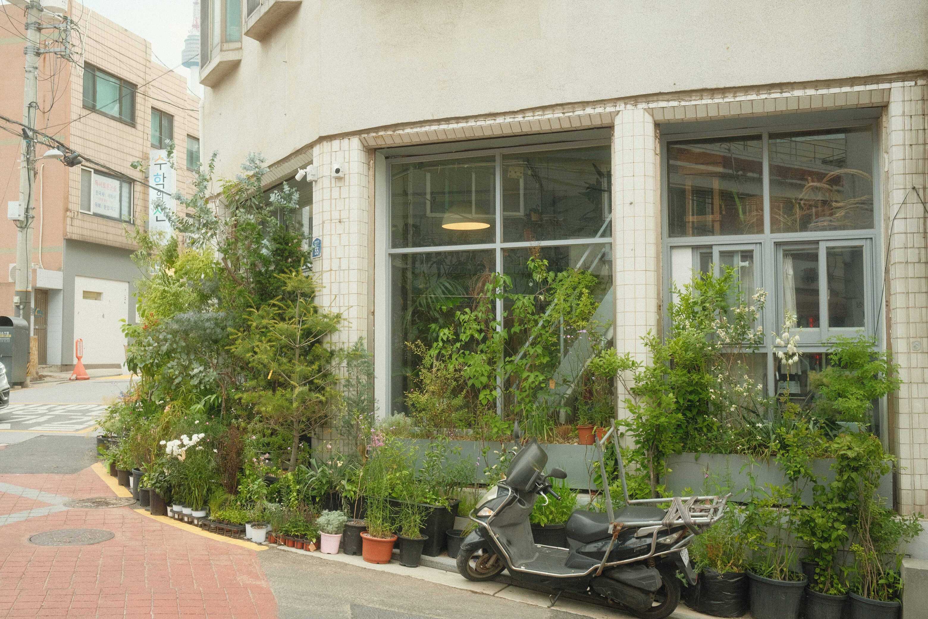 DSCF7004.JPG
