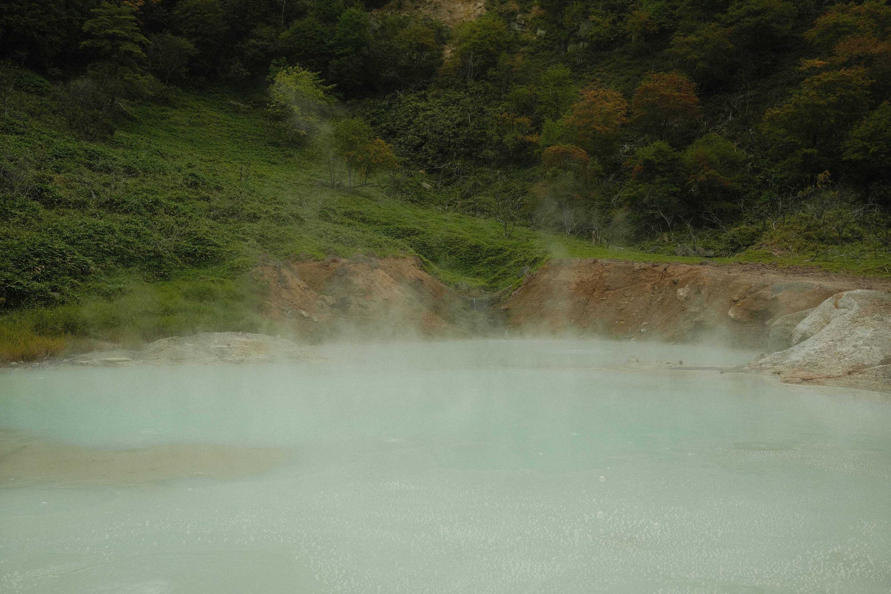 DSCF7384.JPG