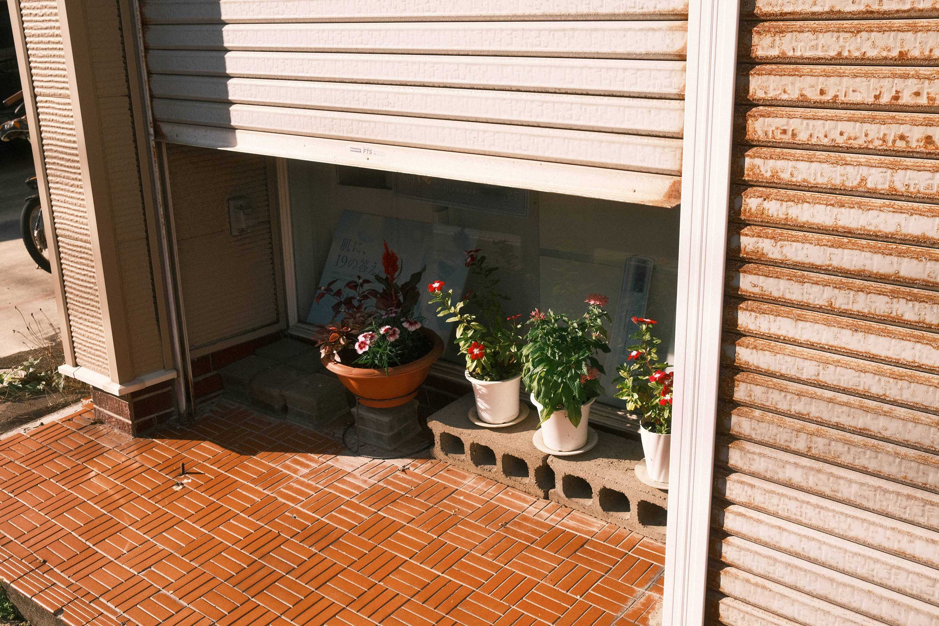 DSCF7417.JPG