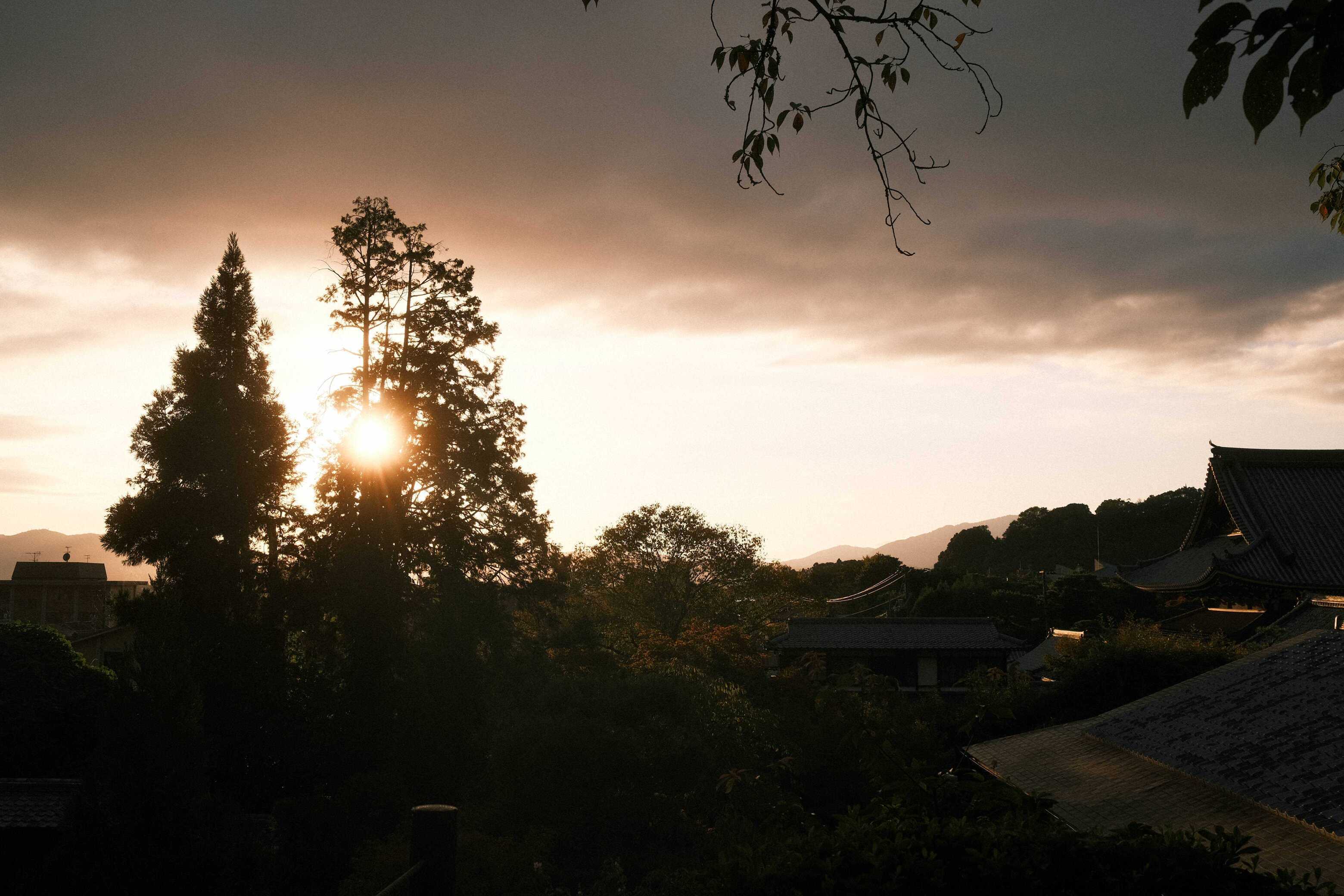 DSCF7493.JPG