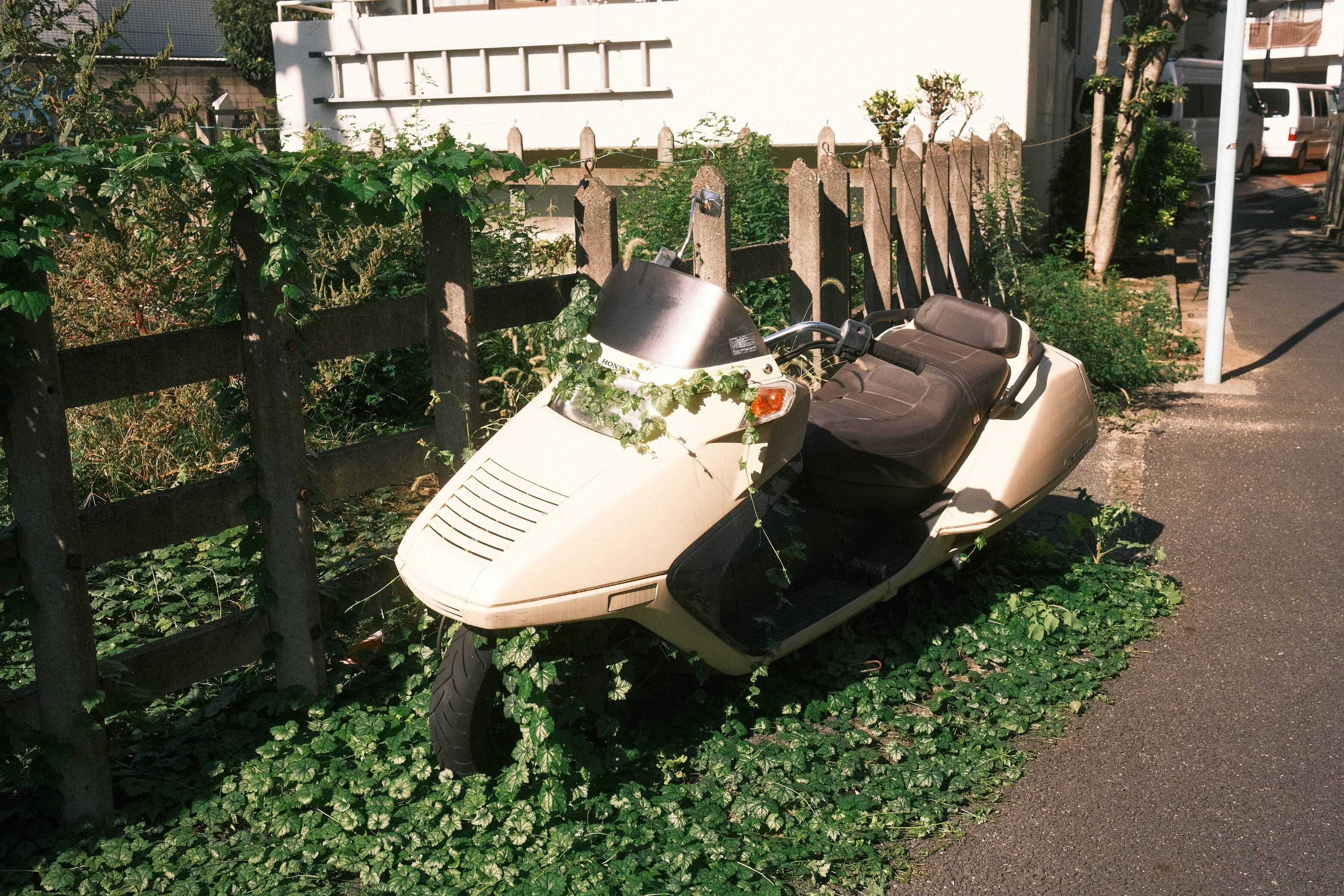 DSCF7509.JPG